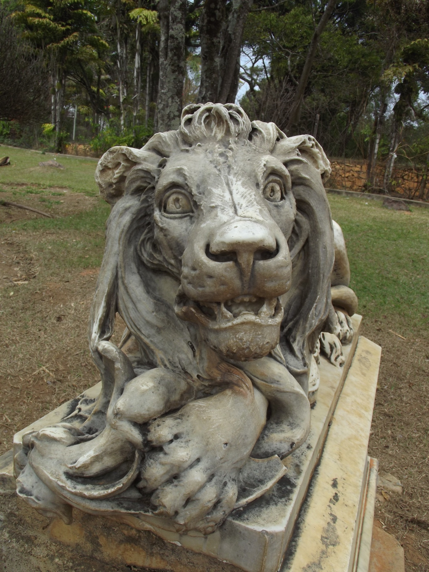 Escultura Leão Jardim Zoológico Belo Horizonte